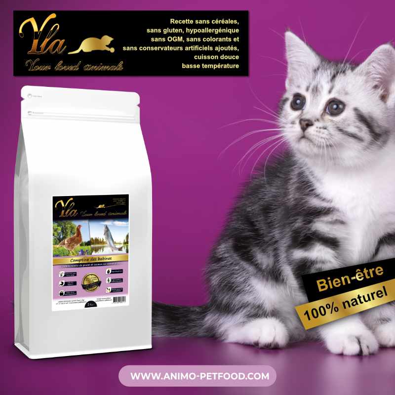 Croquettes sans céréales pour chaton-alimentation naturelle chaton-croquettes hypoallergéniques chaton
